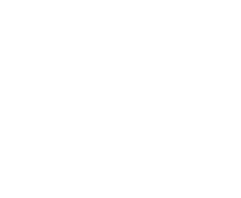 Joint Institute For Nuclear Research